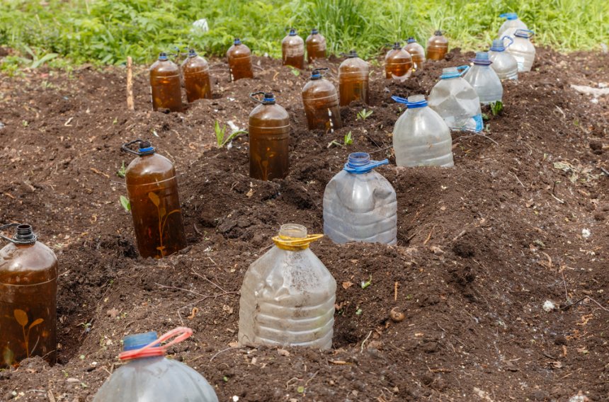15 идей, как можно использовать пластиковые бутылки на даче - Сам себе .